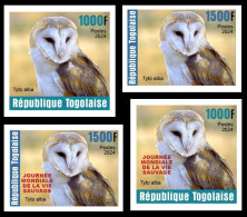 TOGO 2024 SET 4V IMPERF - REG & OVERPRINT - BARN OWL OWLS HIBOU HIBOUX - BIRDS OISEAUX VOGEL - MNH - Búhos, Lechuza