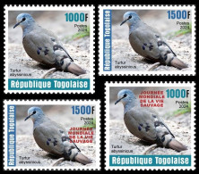 TOGO 2024 SET 4V - REG & OVERPRINT - DOVE DOVES PIGEON PIGEONS - BIRDS OISEAUX VOGEL - MNH - Pigeons & Columbiformes