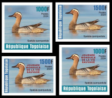 TOGO 2024 SET 4V IMPERF - REG & OVERPRINT - DUCK DUCKS CANARD CANARDS - BIRDS OISEAUX VOGEL - MNH - Eenden