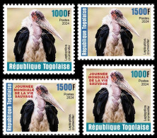 TOGO 2024 SET 4V - REG & OVERPRINT - MARABOUT AFRIQUE AFRICA AFRICAN - BIRDS OISEAUX VOGEL - MNH - Picotenazas & Aves Zancudas