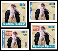 TOGO 2024 SET 4V IMPERF - REG & OVERPRINT - MARABOUT AFRIQUE AFRICA AFRICAN - BIRDS OISEAUX VOGEL - MNH - Storks & Long-legged Wading Birds