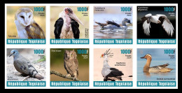 TOGO 2024 SET 8V IMPERF - REGULAR ONLY - BIRDS OISEAUX - DUCK DUCKS BARN OWL OWLS SECRETARY BIRD EAGLES DOVES - MNH - Búhos, Lechuza