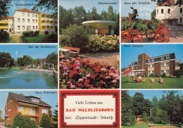 Bad Waldliesborn Bei Lippstadt/Westf., Mehrbildkarte Gl1978 #G5101 - Sonstige & Ohne Zuordnung