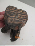 Partie-de-dent-de-mamouth-fossilisee-paleontologie-18-cm-sur-9-cm-poids-1Kg-4 - Archaeology
