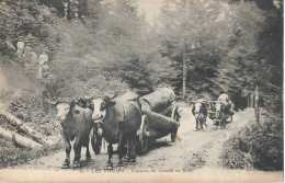 Les Vosges   Saint Dié  "  Voitures De Troncs En Forêt  " - Saint Die