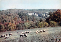 89 - Saint Léger Vauban - Abbaye De La Pierre Qui Vire - Vue Générale - Otros & Sin Clasificación