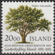 ISLANDIA 1985 - ICELAND - CENTENARIO ASOCIACION DE HORTICULTURA - YVERT 588** - Unused Stamps