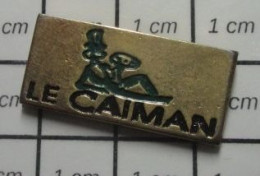 1818c Pin's Pins / Beau Et Rare / MARQUES / LE CAÏMAN Il Croque Odile ? - Trademarks