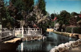 Veules Les Roses - L'abreuvoir Et Vue Sur Le Village - Veules Les Roses