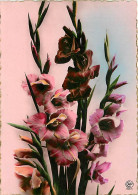 Fleurs - Mention Photographie Véritable - Carte Dentelée - CPSM Grand Format - Carte Neuve - Voir Scans Recto-Verso - Flowers