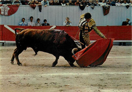 Corrida - Fasse De Muleta De Francisco Paquirri - CPM - Voir Scans Recto-Verso - Stierkampf