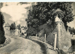 89 - Avallon - Les Remparts Et L'Echauguette - CPSM Grand Format - CPM - Voir Scans Recto-Verso - Avallon