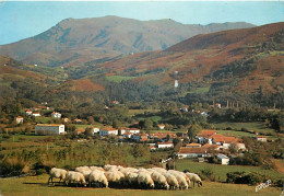 Animaux - Moutons - Troupeau De Moutons - CPM - Voir Scans Recto-Verso - Altri & Non Classificati