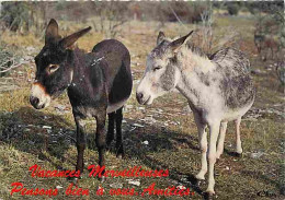 Animaux - Anes - Carte Humoristique - CPM - Voir Scans Recto-Verso - Donkeys