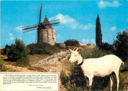 Animaux - Chèvres - Provence - Fontvieille - Le Moulin De Alphonse Daudet Et La Chèvre De Mr Seguin - CPM - Voir Scans R - Altri & Non Classificati