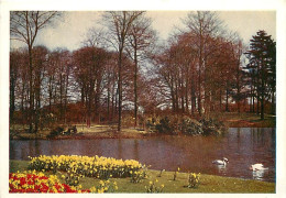 Pays-Bas - Nederland - Lisse - Keukenhof - Fleurs - CPM - Voir Scans Recto-Verso - Lisse