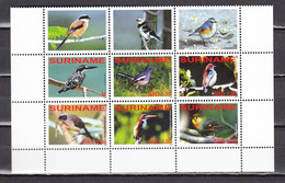 Suriname Surinam 2008,6V In 6block + Tab,birds,vogels,vögel,oiseaux,pajaros,uccelli,aves,MNH/Postfris(L4479) - Sonstige & Ohne Zuordnung