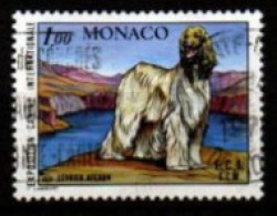 MONACO   -  1978 .  Y&T N° 1163 Oblitéré.  Chien. Lévrier Afghan - Gebruikt