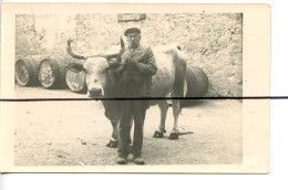 Carte Photo A Identifier . CPA . Un Homme , Paysan Avec Son Animal , Tonneaux - Photographs