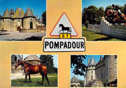 19 - Pompadour - Multivues - Arnac Pompadour