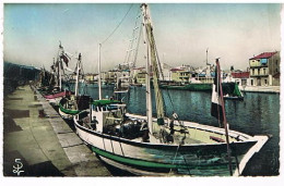 34  SETE CETTE  LES BATEAUX DE PECHE A  QUAI JOUR DE FETE1955  9X14 - Sete (Cette)