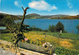 81 - Lac De Laouzas - Vue Générale - Sonstige & Ohne Zuordnung