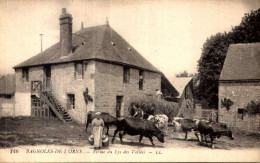 61] Orne > Bagnoles De L'Orne FERME  DU LYS  DES VALLEES  / VACHE  /// 111 - Bagnoles De L'Orne