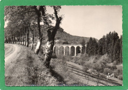 25 Le Viaduc De MAIZIERES - Environs D'Ornans - Editions D'Art Yvon CPSM  Année 1955 état Impeccable - Andere & Zonder Classificatie