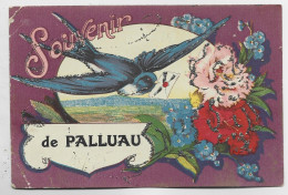 SOUVENIR DE PALLUAU VENDEE - Andere & Zonder Classificatie