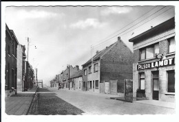 Boom    De Bosstraat , Bovenkant - Boom