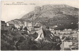 CPA DE MONACO  (MONACO)  LE PALAIS DU PRINCE ET LA TÊTE DE CHIEN - Prinselijk Paleis