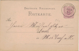 Ganzsache 5 Pfennig - Zweikreisstempel Waldhausen 1880 > Mühlenbesitzer Laub Mosbach Neckar - Postkarten