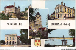 AGJP6-0459-45 - Souvenir De COURTENAY - Loiret  - Courtenay