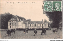 AGJP5-0384-45 - CLERY - Loiret - Le Chateau Du Mardereau - La Prairie    - Other & Unclassified