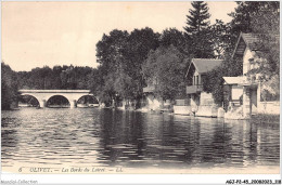 AGJP2-0143-45 - OLIVET - Les Bords Du Loiret   - Orleans