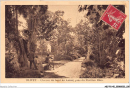 AGJP2-0134-45 - OLIVET - Chemin Du Bord Du Loiret - Près Du Pavillon Bleu  - Orleans