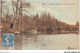 AGJP2-0097-45 - OLIVET - Les Bords Du Loiret - Le Pont Cotelle  - Orleans