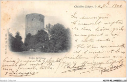 AGJP1-0062-45 - CHATILLON-COLIGNY - Donjon Du Chateau  - Chatillon Coligny