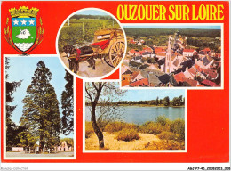 AGJP7-0564-45 - OUZOUER SUR LOIRE -  Loiret - Attelage à Chiens - Vue Générale Aérienne   - Ouzouer Sur Loire