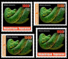 TOGO 2024 SET 4V - REG & OVERPRINT - REPTILES - SNAKE SNAKES SERPENTS - MNH - Serpenti