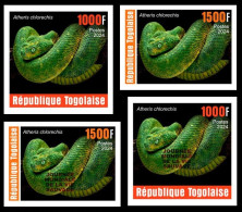 TOGO 2024 SET 4V IMPERF - REG & OVERPRINT - REPTILES - SNAKE SNAKES SERPENTS - MNH - Serpientes