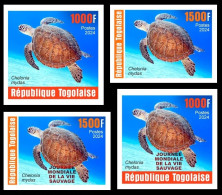 TOGO 2024 SET 4V IMPERF - REG & OVERPRINT - REPTILES - GREEN TURTLE TURTLES TORTUE VERTE TORTUES - MNH - Schildkröten