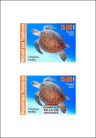 TOGO 2024 DELUXE PROOF - REG & OVERPRINT - REPTILES - GREEN TURTLE TURTLES TORTUE VERTE TORTUES - Tortugas