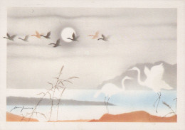 VOGEL Tier Vintage Ansichtskarte Postkarte CPSM #PAN296.A - Vögel