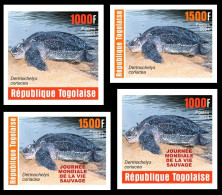 TOGO 2024 SET 4V IMPERF - REG & OVERPRINT - REPTILES - TURTLE TURTLES TORTUE TORTUES - MNH - Schildpadden