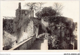 AGNP5-0399-53 - LAVAL - Porte Rennaise - Ancienne Fortification - Laval