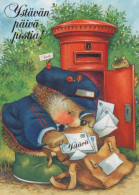 ERIZO Animales Vintage Tarjeta Postal CPSM #PBR220.A - Autres & Non Classés