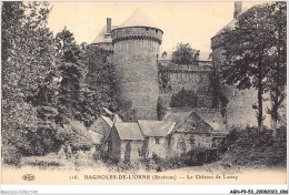 AGNP9-0756-53 - LASSAY - Environs De Bagnoles-de-l'orne - Le Chateau De Lassay  - Lassay Les Chateaux