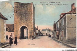 AGOP1-0037-18 - LURY-sur-ARNON - Cher - La Tour Nord Et Route De Vierzon - Vierzon