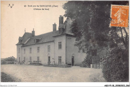 AGOP1-0034-18 - Environs De - SANCOINS - Cher - Chateau De Jouy - Sancoins